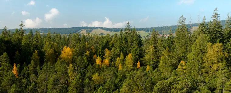 Góry Orlickie latem